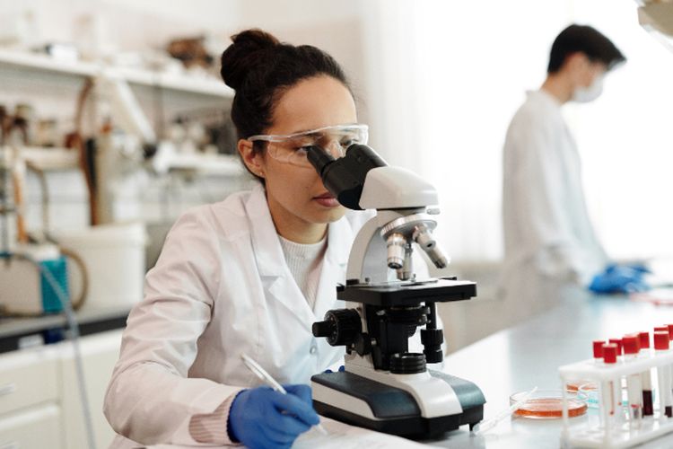 Tertarik Jadi Entomolog dan Epidemiolog di Kemenkes? Subsidi per Bulan Bisa Capai Rp8,7 Juta Loh! Terendahnya…