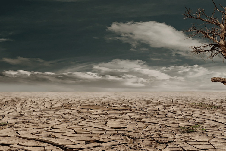 Darurat Pangan! Daerah Yahukimo Provinsi Papua Pegunungan Alami Bencana Kelaparan, 23 Warga Meninggal Dunia