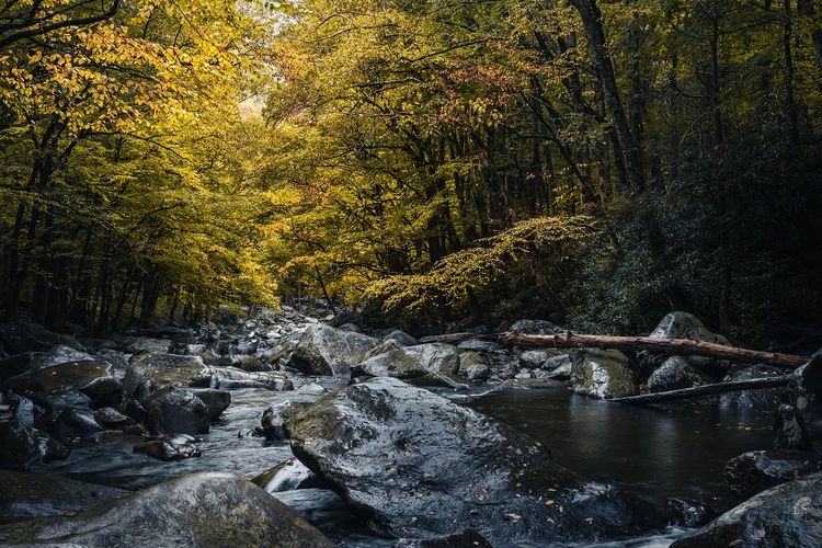 Unik! Sungai di Kalimantan Timur Ini Airnya Berwarna Merah Pekat, Disakralkan dan Bisa Memutihkan Kulit?