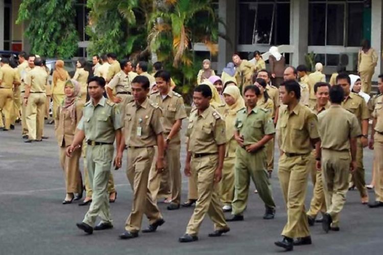 Apakah Kamu Termasuk? Ternyata 3 Tenaga Honorer Kategori Ini Tak Dapat Diangkat Jadi PPPK