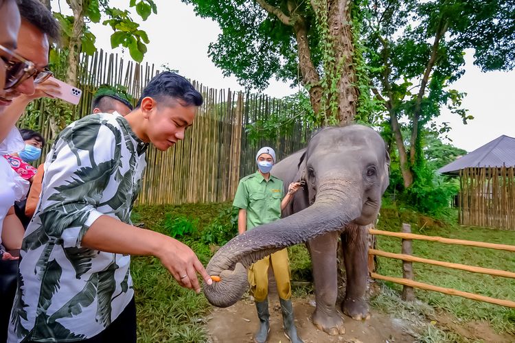 Omzet Capai Rp14 Miliar, Baru Dibuka 4 Bulan Solo Safari di Surakarta Sampai Dikunjungi Ribuan Orang, Tapi Pajaknya…