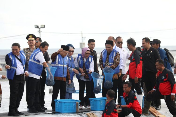 Megaproyek Rp7,5 Triliun Digeser! Awalnya di NTB, Pembangunan Shrimp Estate Justru Diadakan di NTT, Mengapa?