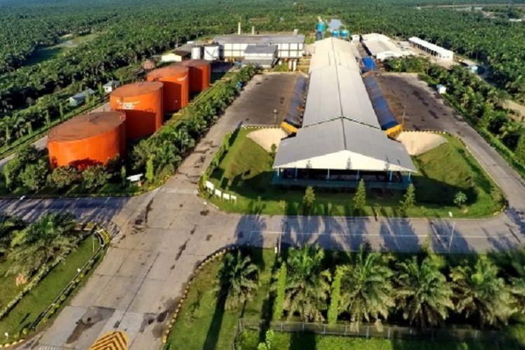 Serap 2.320 Pekerja! Pabrik Kelapa Sawit Rp2 T di Kalimantan Selatan Diklaim Mampu Tingkatkan Devisa Negara, Benarkah?