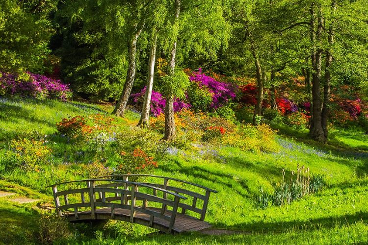 Usai Sulap 234,25 Ha Lahan Bekas Tambang di Muara Enim Sumatera Selatan, PTBA Sisihkan Rp247 Miliar Buat Reklamasi Selanjutnya, Luasnya…