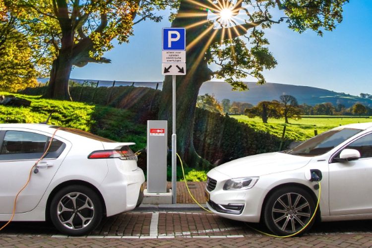 Investasinya Rp250 Miliar, Perusahaan Taksi Biru Ini Kembangkan Sistem Transportasi Publik IKN Kalimantan Timur Berbasis Visi 50-30, Apa itu?