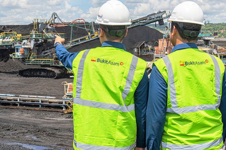 Harga Batu Bara Ambles 33 Persen, PT Bukit Asam Berhasil Tahan Longsor Pendapatan hingga Rp3 Triliun, Cuannya Jadi Segini