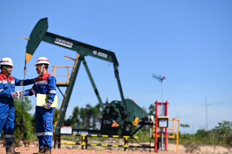 Serap 2.687 Pekerja, PT Pertamina Hulu Rokan Targetkan Produksi Minyak Hingga 167 Ribu Barel per Harinya, Tapi Tantangannya…