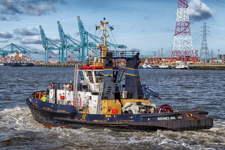 Kurang Diminati Investor, Proyek Pelabuhan Senilai Rp5 Triliun di Ambon Terancam Didepak dari PSN, Begini Nasibnya Sekarang!