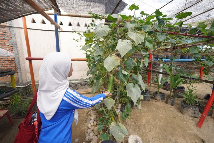 Warga Tuminting dan BRI Ubah Lahan Timbunan Sampah Jadi Lahan Urban Farming ‘BRInita’