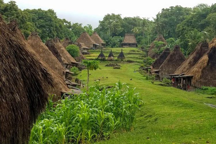 Dulunya Berlokasi di Atas Bukit, Sejak Tahun 1950-an Desa Adat di NTT Ini Harus Pindah Lokasi, Kok bisa?