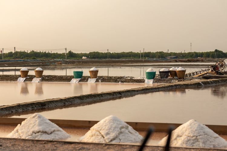 Hasilkan 5.000 Ton Garam, Perusahaan Beryodium Legendaris di Kupang NTT Ini Ternyata Sukses Berkat Andalkan Alam, Kok Bisa?