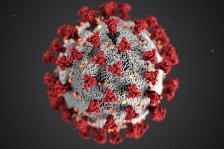 Wabah Misterius di China! Waspadai Pneumonia Mycoplasma Penyebab Infeksi Pernapasan, Kemenkes: Tetap Tenang, Jangan Panik