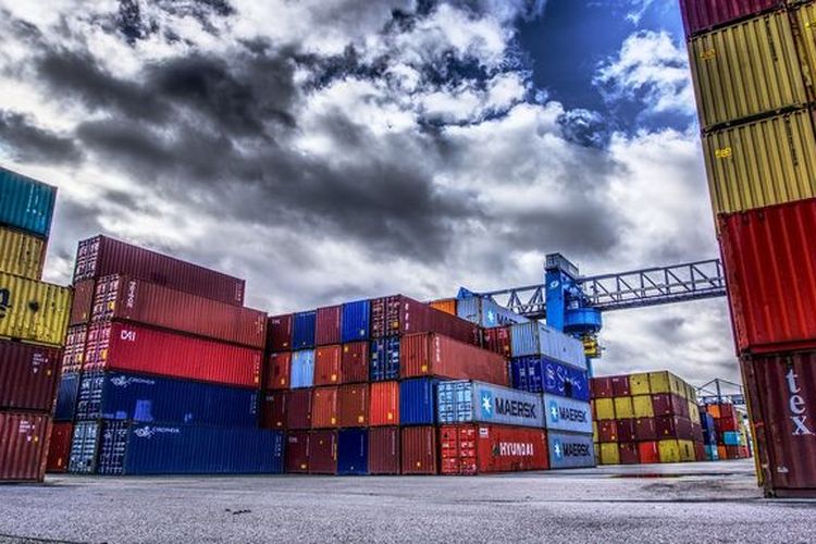 Dukung Pendapatan Negara Rp17 Triliun, Kabupaten di Papua Ini Punya Potensi Ekspor Tuna Sirip Kuning ke Jepang hingga China