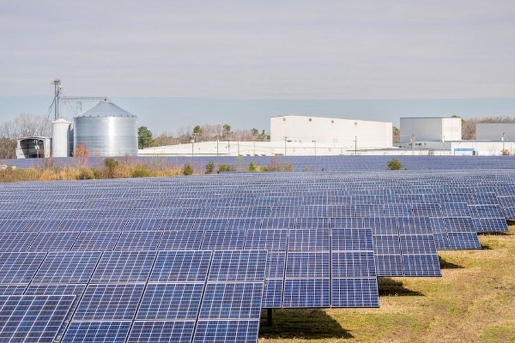 Pasang Instalasi PLTS Senilai Rp29,54 Miliar, PT Tunas Alfin Tbk Catatkan Penurunan Jumlah Utang