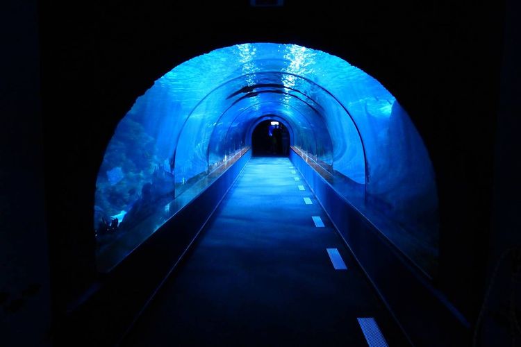 Katanya Gerus Rp10 Triliun, Terowongan Bawah Laut di Kalimantan Timur Ternyata Baru Masuk Tahap Ini