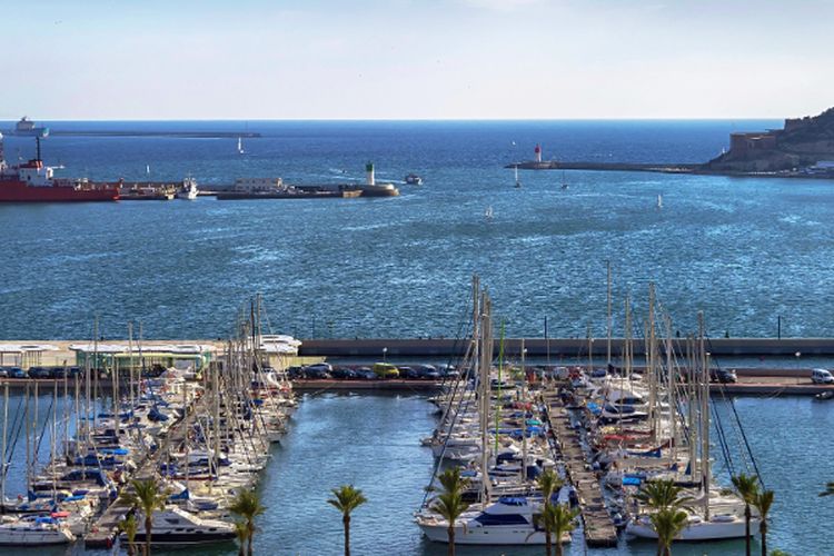 Terkendala Sepinya Investor, Pelabuhan Senilai Rp5 Triliun di Ambon Ini Batal Dibangun?