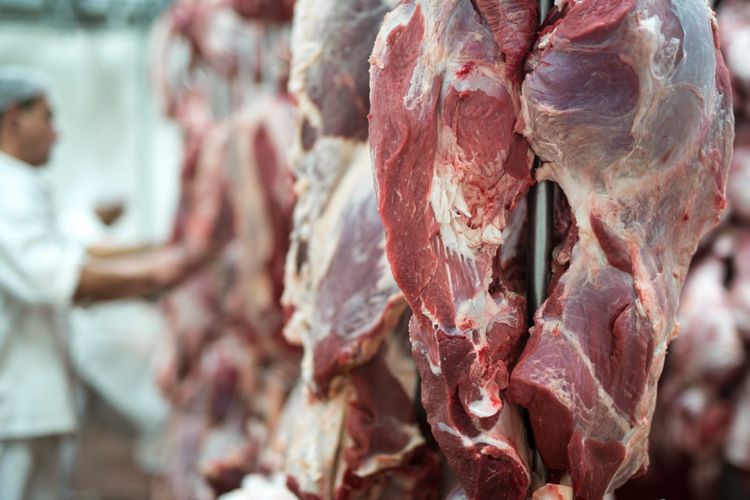 Bakal Impor 20.000 Ton Daging Sapi dari Brazil, ID FOOD Siap Amankan Stok untuk Puasa Ramadhan dan Idhul Fitri 2024