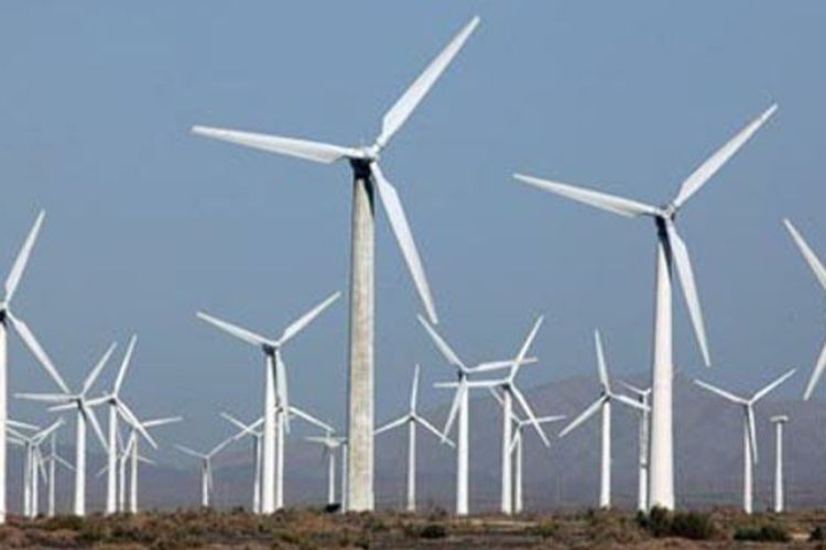 Disebut Gibran saat Debat Cawapres, Istilah ‘Green Inflation’ Bikin Heboh Netizen! CSIS Bongkar Cara Mencegahnya