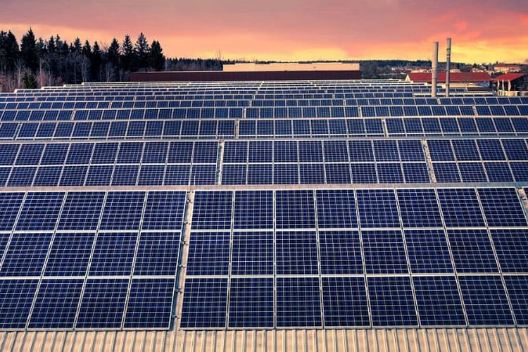 Bangun Instalasi PLTS Atap Terbesar di Jawa Timur, Laba Bersih PT Pabrik Kertas Tjiwi Kimia Tbk Anjlok Rp3,3 Triliun