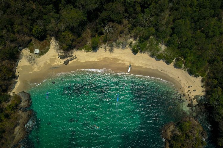 Dibuka 1982, Taman Nasional di Jember Ini Hadirkan Pemandangan Langka yang Menarik, Pernah Berkunjung?