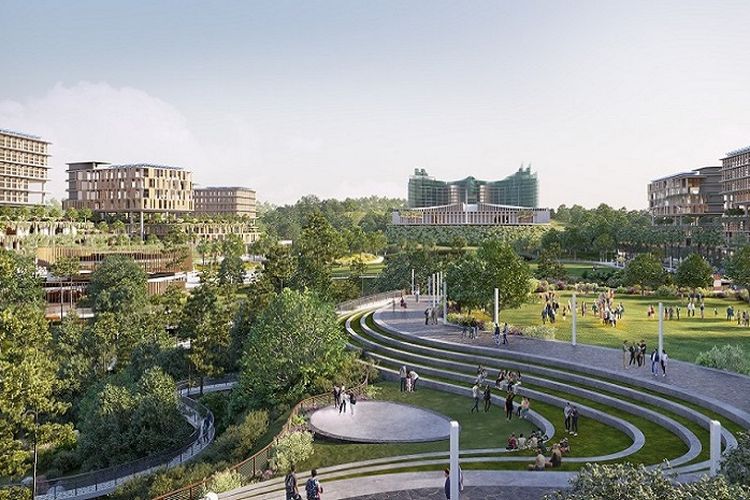 Luasnya 252 Ribu Hektare, Otorita IKN Angkat Suara Soal Proyek Ibu Kota Baru di Kalimantan Timur, Disebut Tak Rusak Hutan Alam karena…