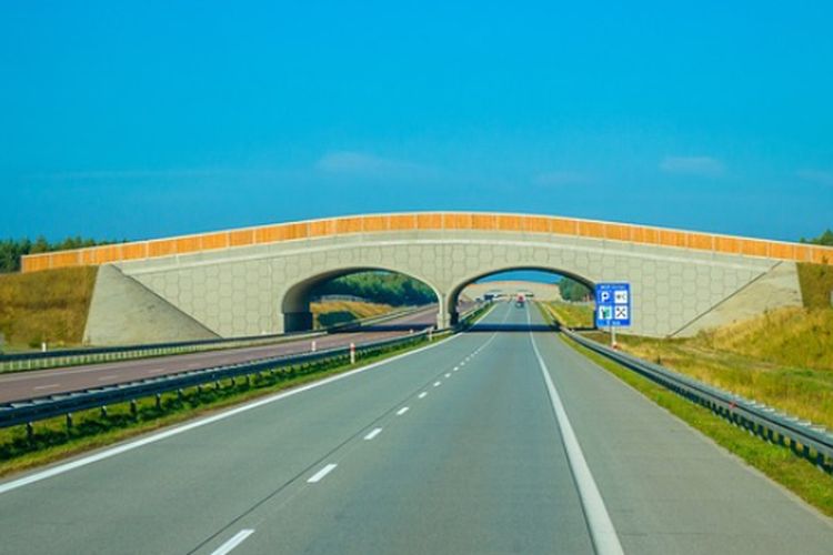 Dibantu Amerika dan Korea, Jalan Tol Rp6,6 Miliar Penghubung 2 Provinsi Ini Diklaim Jadi yang Pertama di Indonesia, Usianya…