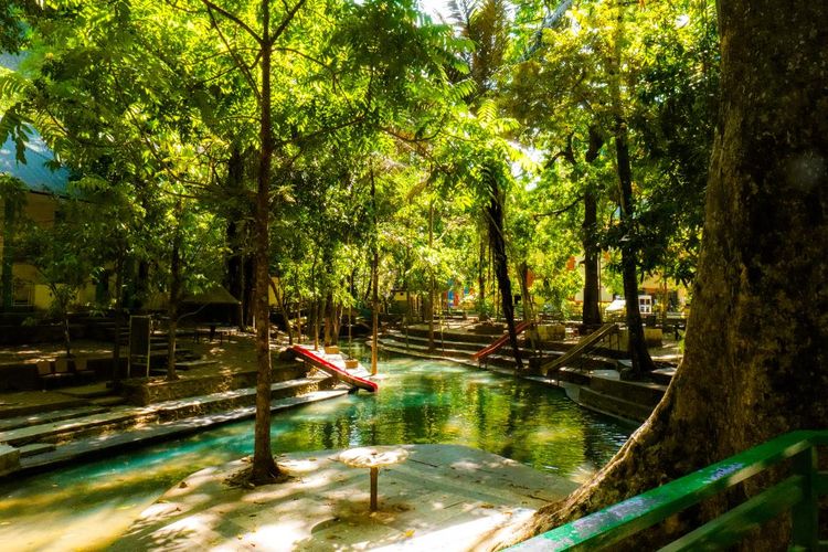 Luasnya 568 Ribu Hektar, Taman Nasional di Kalimantan Tengah Ini Dulunya Jadi Tempat Kegiatan Illegal Logging