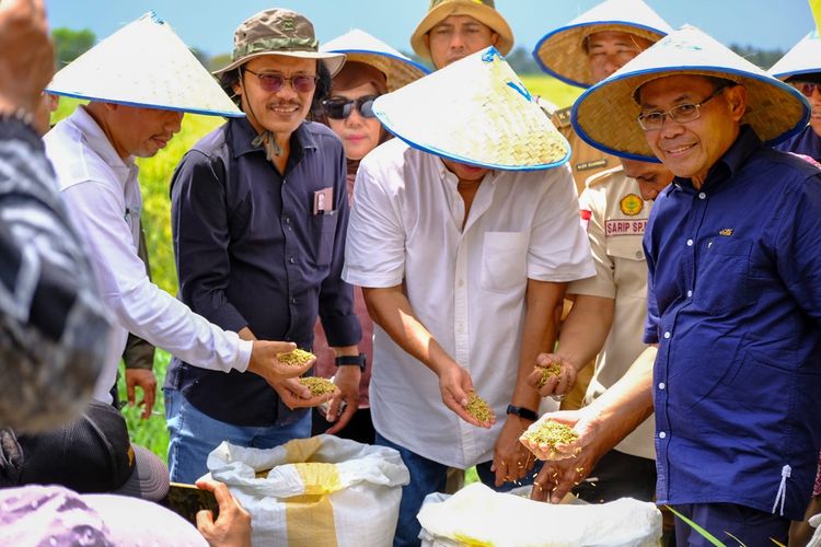 Kolaborasi Petani dan Swasta di Banyuasin Tuai Sukses