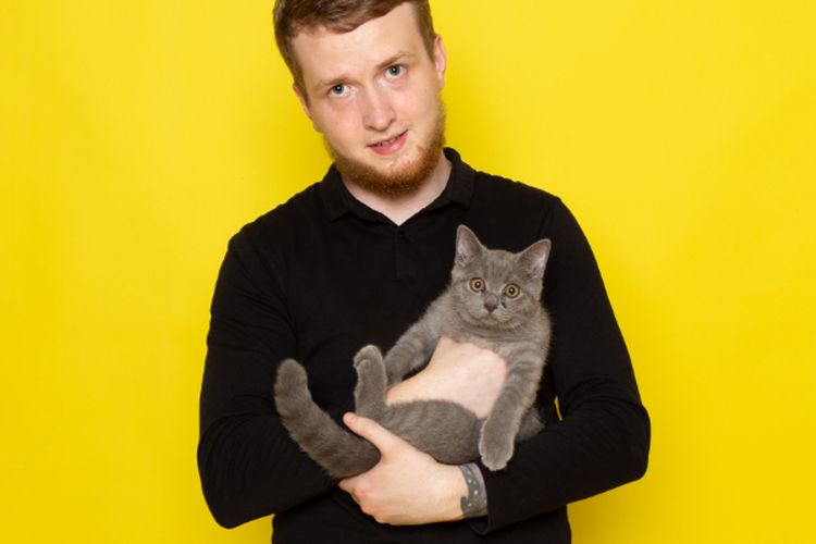 Anabul Suka Gelisah Saat Digendong? Ketahui Cara Menggendong Kucing yang Aman Buat Tubuh si Meong