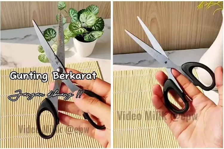 Ini Trik Cepat Menghilangkan Karat Pada Gunting Pakai 2 Bahan Dapur: Nggak Perlu Diamplas Auto Kinclong