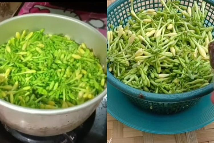 Modal Garam dan Asam Jawa Cuma Seribuan, Ini Tips Mengolah Bunga Pepaya Agar Tidak Pahit