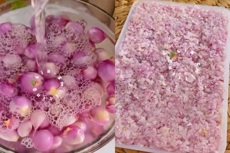 Pasti Nyesel Gegara Baru Tahu, Begini Tips Menyimpan Bawang Merah Biar Awet di Kulkas, Pakai Cetakan Es Batu?