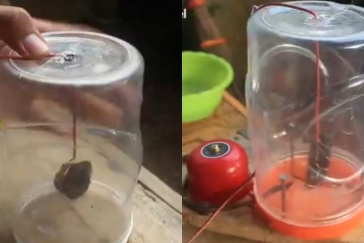 Toples Plastik Bekas Jadi Canggih, Bisa Menyelamatkan Manusia dari Bencana Besar, Ini Dia Ide Kreatifnya!