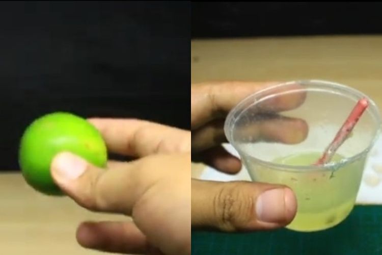 Nyesel Baru Tahu, Begini Cara Mengusir Nyamuk Cuma Pakai Jeruk Nipis, Dijamin Ampuh!