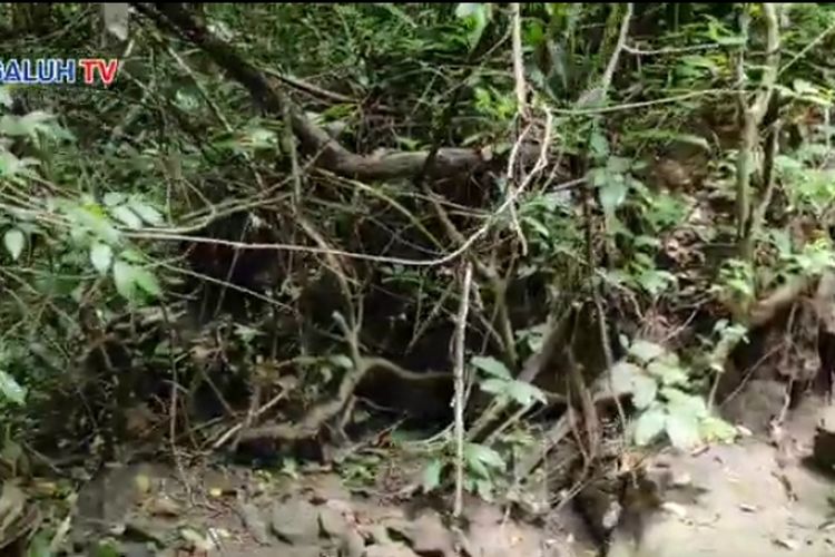 Ngeri, Inilah Tempat Misterius di Jombang, Jawa Timur yang Ditakuti para Dukun, Lokasinya…