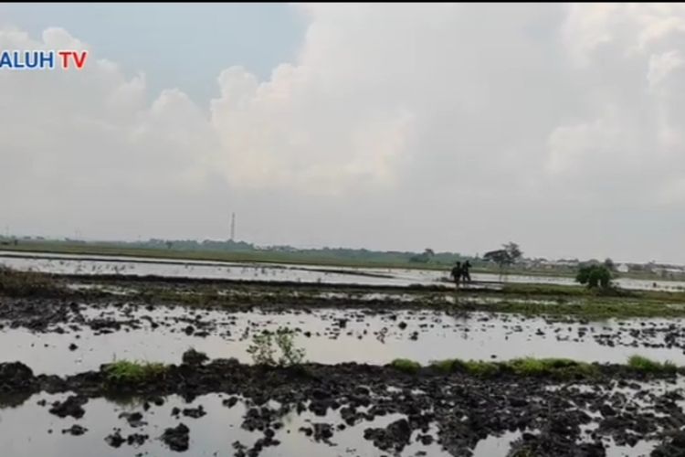 Bikin Heboh! Terjadi Fenomena Alam Aneh di Jombang, Jawa Timur