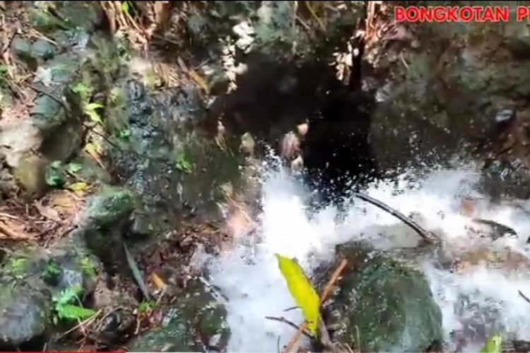 Viral! Sungai Mungil di Mojokerto Ini Mendadak Hilang Ditelan Lorong Misterius Bawah Tanah