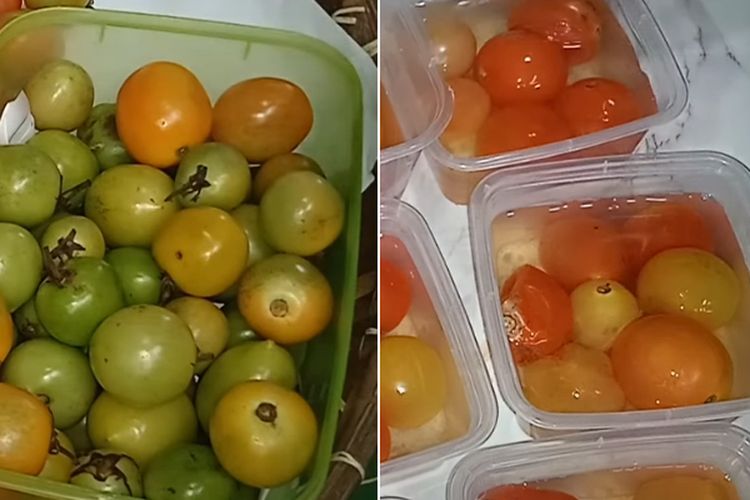 Bisa Awet hingga 8 Bulanan, Lakukan Tips Menyimpan Tomat yang Tepat Agar Bebas Bakteri dan Jamur