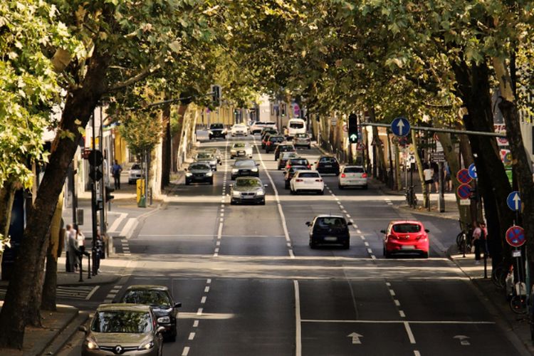 Tapanuli Selatan Makin Terbelah, 2 Kabupaten Baru di Sumatera Utara Ini Muncul Jadi Daerah Otonom Baru, Serupa tapi Tak Sama?