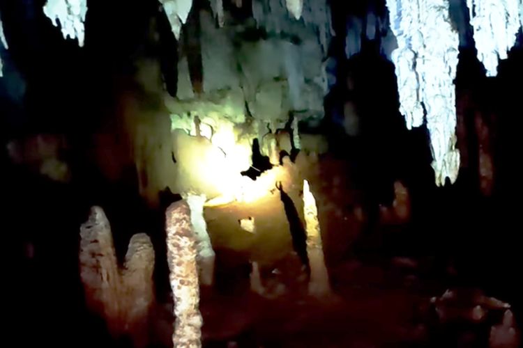 Pria Asal Jawa Timur Ini Temukan Istana Bawah Tanah yang Tembus ke Laut di Ladang Warga Lamongan