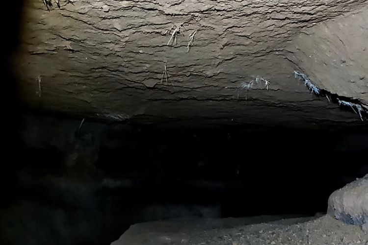 Terbesar di Indonesia, Pria Asal Mojokerto Ini Bangun Istana Raksasa di Bawah Tanah, Begini Penampakannya