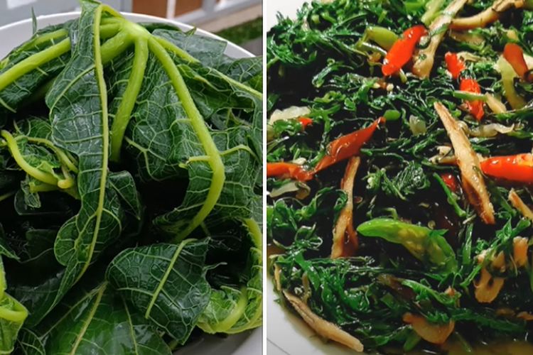 Tetap Sehat Tanpa Sensasi Getir, Simak Tips Hilangkan Rasa Pahit Saat Memasak Daun Pepaya, Dijamin Makan Auto Nambah!