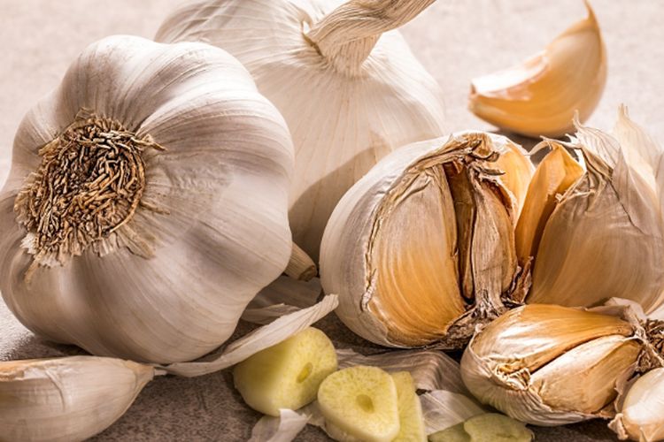 Cukup Disemprot, Cicak di Rumah Kabur Selamanya Gegara ‘Ramuan Ajaib’ Bawang Putih, Ini Dia Cara Membuatnya