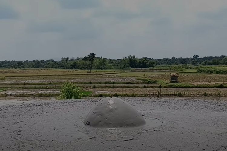 Bikin Resah Warga Grobogan, Muncul ‘Gunung’ Mungil di Persawahan Jawa Tengah Yang Semburkan Lumpur Usai Gempa Bumi Bawean