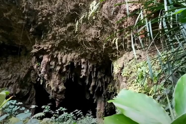 Warga Kebumen Gak Bakal Nyangka! Kampung Mungil di Jawa Tengah Ini Tersembunyi di Balik Goa Tengah Hutan Belantara