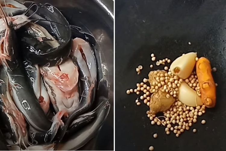 Nggak Usah Overthinking, Tips Menghilangkan Lendir dan Bau Amis Lele Ini Bikin Rasa Dagingnya Makin Sedap Gurih!