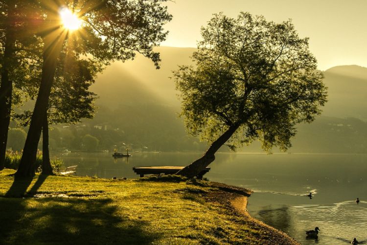 Bercitra Kabupaten Konservasi, Daerah Seluas 11.529 km2 di Papua Barat Daya Ini Dulunya Bagian dari Sorong dan Manokwari