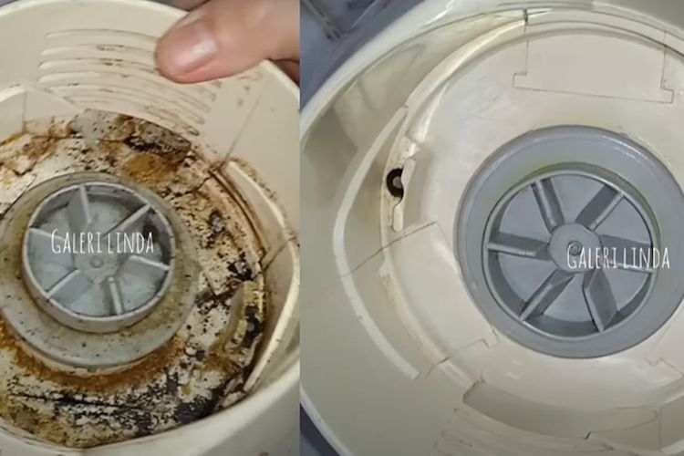 Nggak Perlu Repot Tenaga, Kerak Lengket di Blender Rontok Seketika Gegara Satu Bahan Simpel Mujarab Ini, Bongkar Cara Membersihkannya