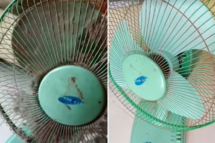 Otomatis Bersih Sendiri, Begini Cara Praktis Membersihkan Kipas Angin Tanpa Bongkar, Lihat Hasil Mengejutkannya!