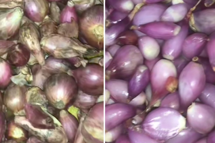 Ukuran Kecil Tak Masalah! Ini Trik Kupas Kulit Bawang Merah Mini Agar Hasilnya Mulus dan Tidak Banyak yang Terbuang